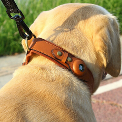 Leather AirTag Dog Collar, stylish and durable collar with built-in holder for AirTag for pet tracking