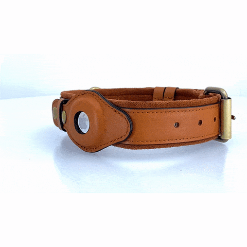 Leather AirTag Dog Collar, stylish and durable collar with built-in holder for AirTag for pet tracking