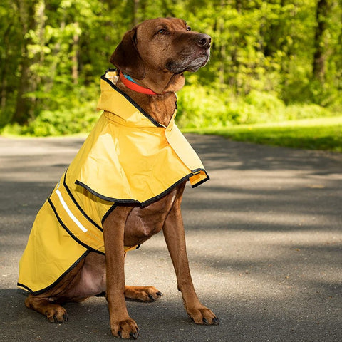 Fashion Pet Rainy Days Yellow Slicker-XXL